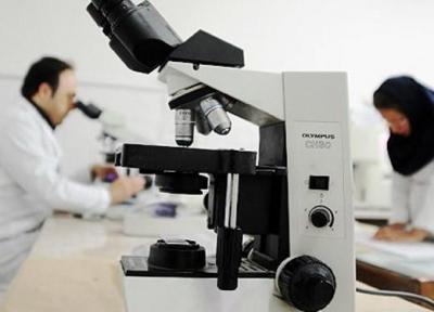 دانشجویان تهرانی از آزمایشگاه و بعضی کلاس ها با هماهنگی اساتید استفاده نمایند