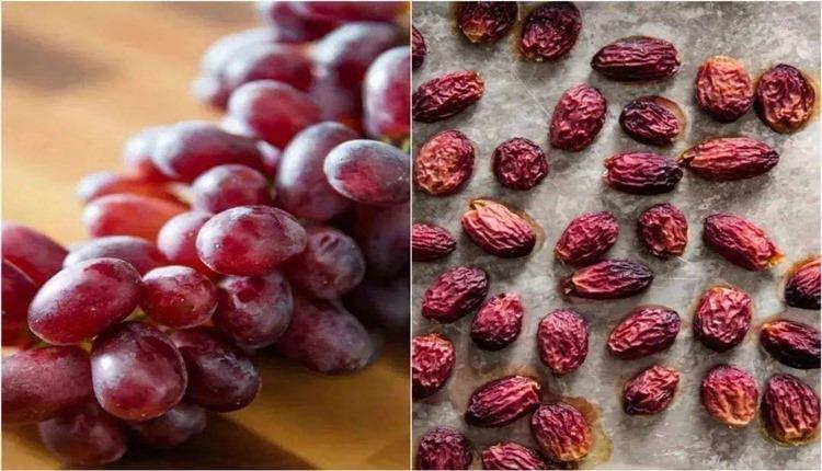 3 روش خشک کردن انگور در خانه (کشمش خانگی) 3 روش خشک کردن انگور در خانه (کشمش خانگی)