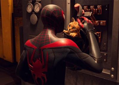 گربه ی عنکبوتی در Spider-Man: Miles Morales را ببینید