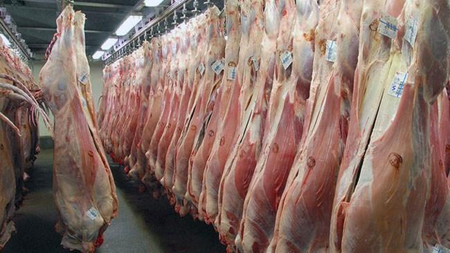 ممنوعیت صادرات دام راه چاره تنظیم بازار گوشت نیست