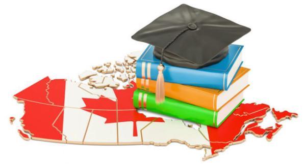 تور کانادا ارزان: برترین کالج های تورنتو 2021 کدامند؟ ، خبر کانادا