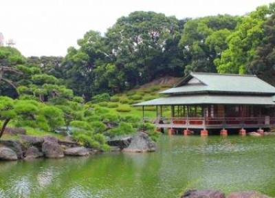 جاهای دیدنی ژاپن : 10 پارک زیبای توکیو